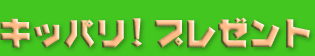 �L�b�p���I�v���[���g