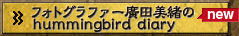 �t�H�g�O���t�@�[�A�c������hummingbird diary
