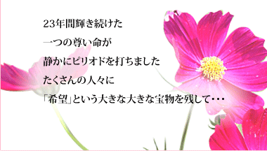 CBC�e���r�J�ǂT�O���N�L�O�X�y�V�����h���}�w���̊�Ձx