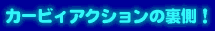 �J�[�r�B�A�N�V�����̗����I