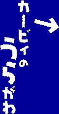 �J�[�r�B�̗���