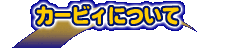 �J�[�r�B�ɂ���
