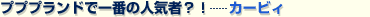 �J�[�r�B