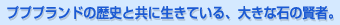 �J�u�[
