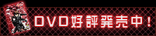 DVD�D�]�������I