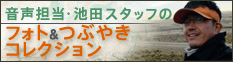 �����S���E�r�c�X�^�b�t�̃t�H�g&�Ԃ₫�R���N�V����
