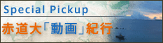 �ԓ��墓��棋I�s