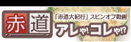 �ԓ���u����v�I�s