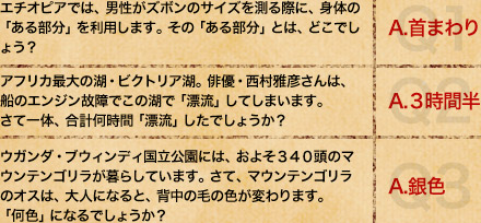 �񓚕�