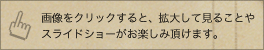 画像をクリックすると、拡大してみることやスライドショーが楽しめます。