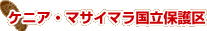 �P�j�A�E�}�T�C�}�������ی��