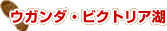 �E�K���_�E�r�N�g���A��