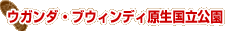 �E�K���_�E�u�E�B���f�B������������