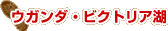 �E�K���_�E�r�N�g���A��