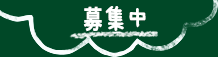 募集中