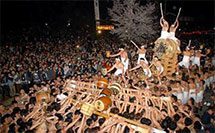 Traditional Series, Furukawa Matsuri