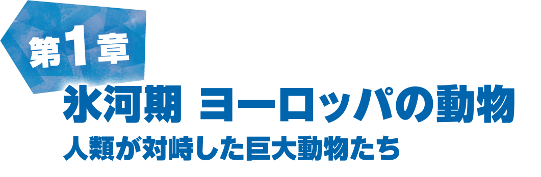 第1章 氷河期 ヨーロッパの動物 | 人類が対峙した巨大動物たち