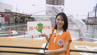 加藤愛アナが愛知・蟹江町の『白いちじくブッセ』を調査！ 町の特産品を盛り上げよう！ 先駆けの愛されスイーツ