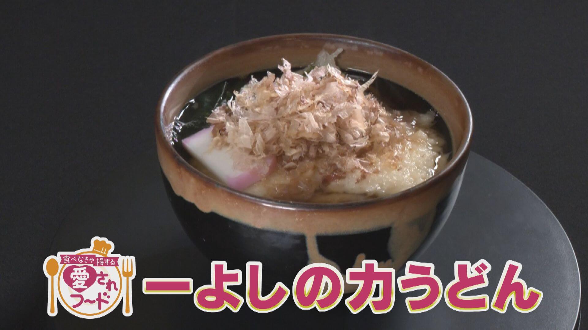 愛知・岡崎市の食べなきゃ損するグルメ『一よしの力うどん』をいただきます！【愛されフード】