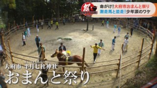 「打撲や擦り傷は当たり前」時速30㎞の激走する馬に掴まるおまんと祭り！初参加の少年たちに密着