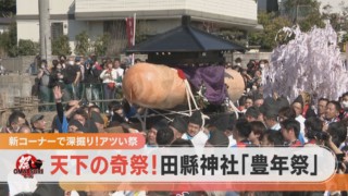 天下の奇祭「田縣神社 豊年祭」で寺坂頼我がOMATSURIちゃんを探します！【チャント！】