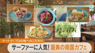 渥美半島の南国風カフェ！家族で暮らしたくなるメリットとは？【チャント！特集】