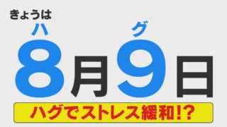 ハグでストレス緩和って本当？ ぬいぐるみやタオルでもハグの効果が
