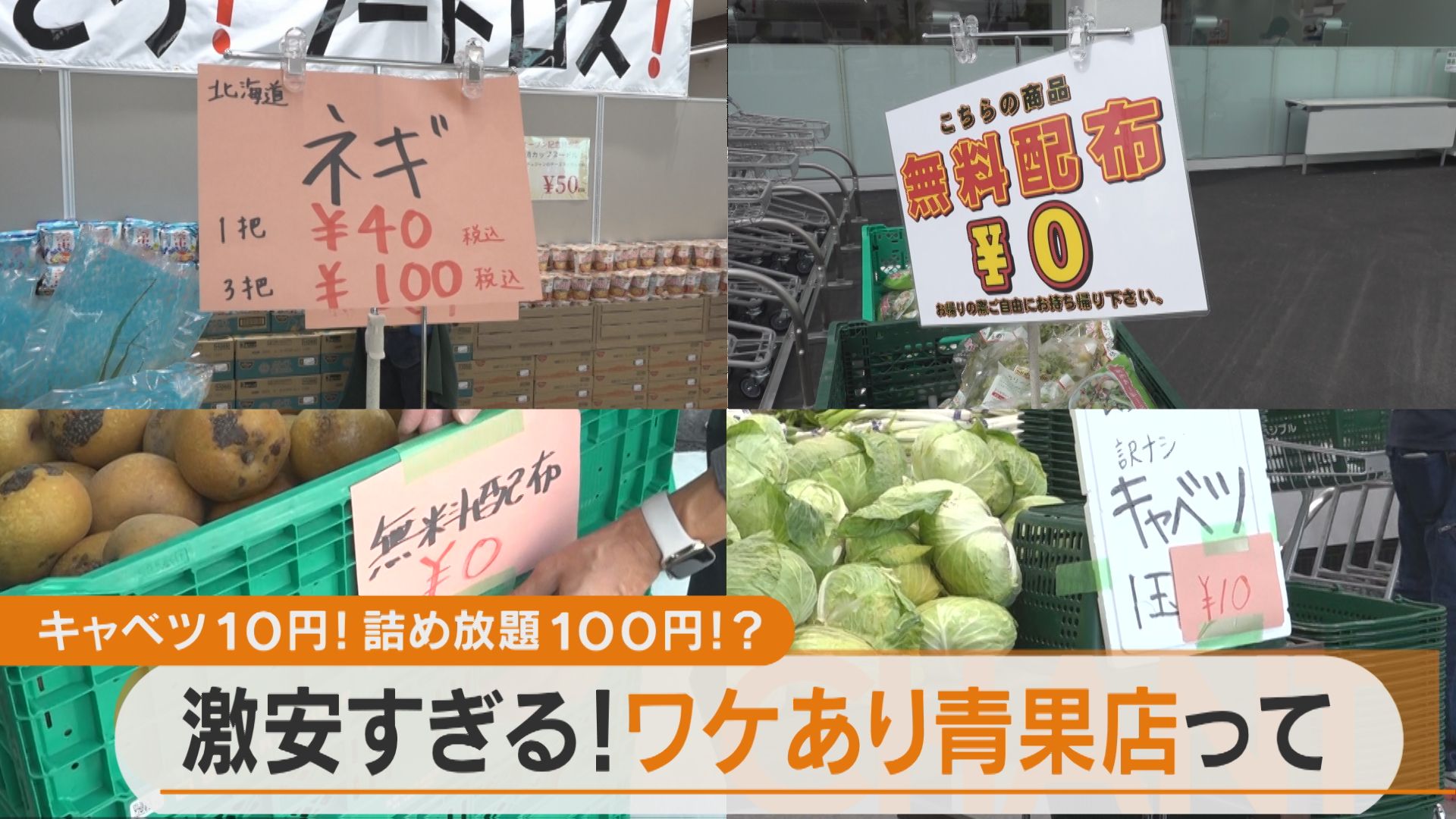 キャベツは10円、ジャガイモ詰め放題は100円!? 愛知県に誕生した激安の“ワケあり青果店”とは
