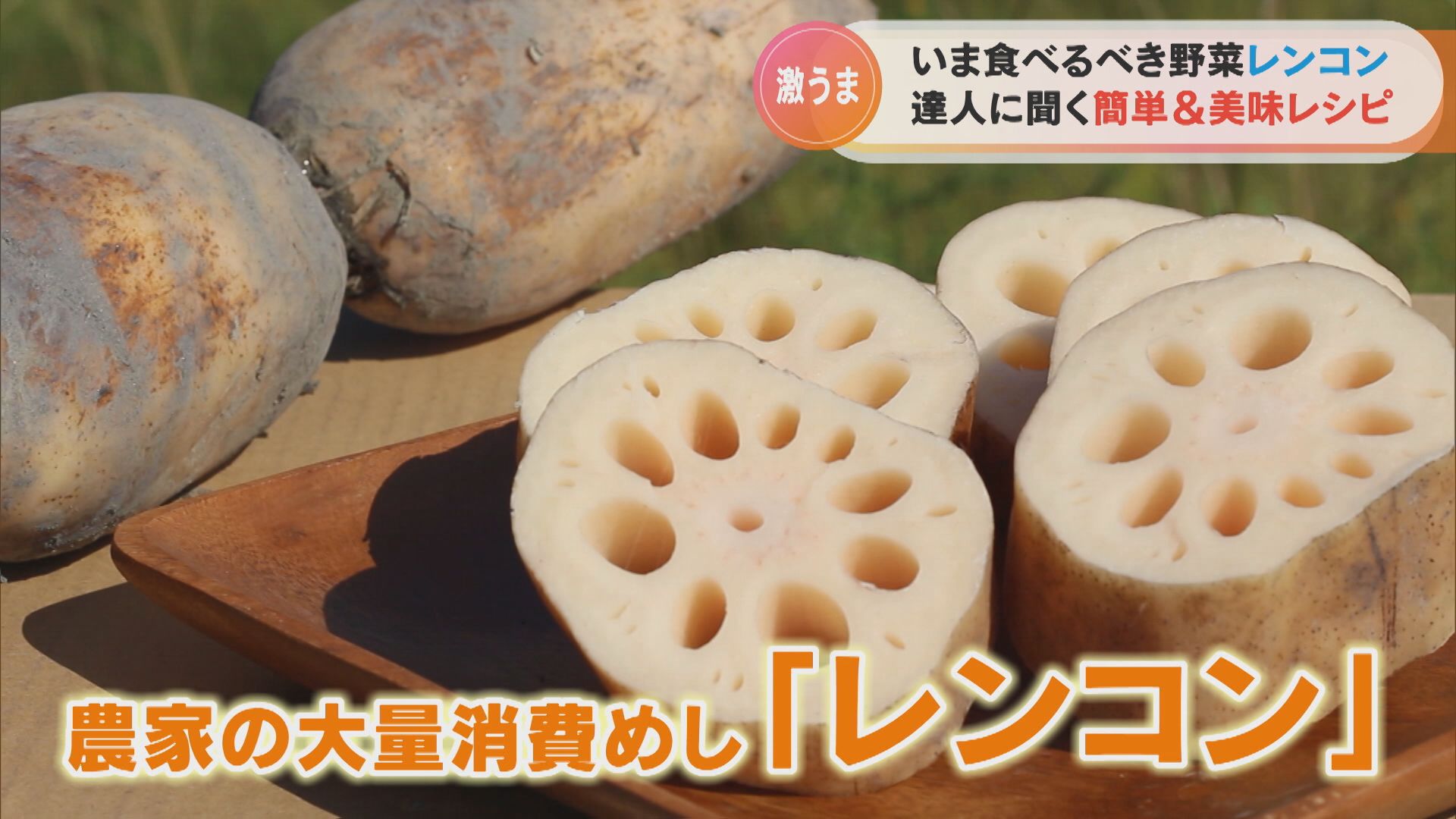 いま食べるべき野菜「レンコン」達人に聞く簡単&美味レシピ【チャント!特集】