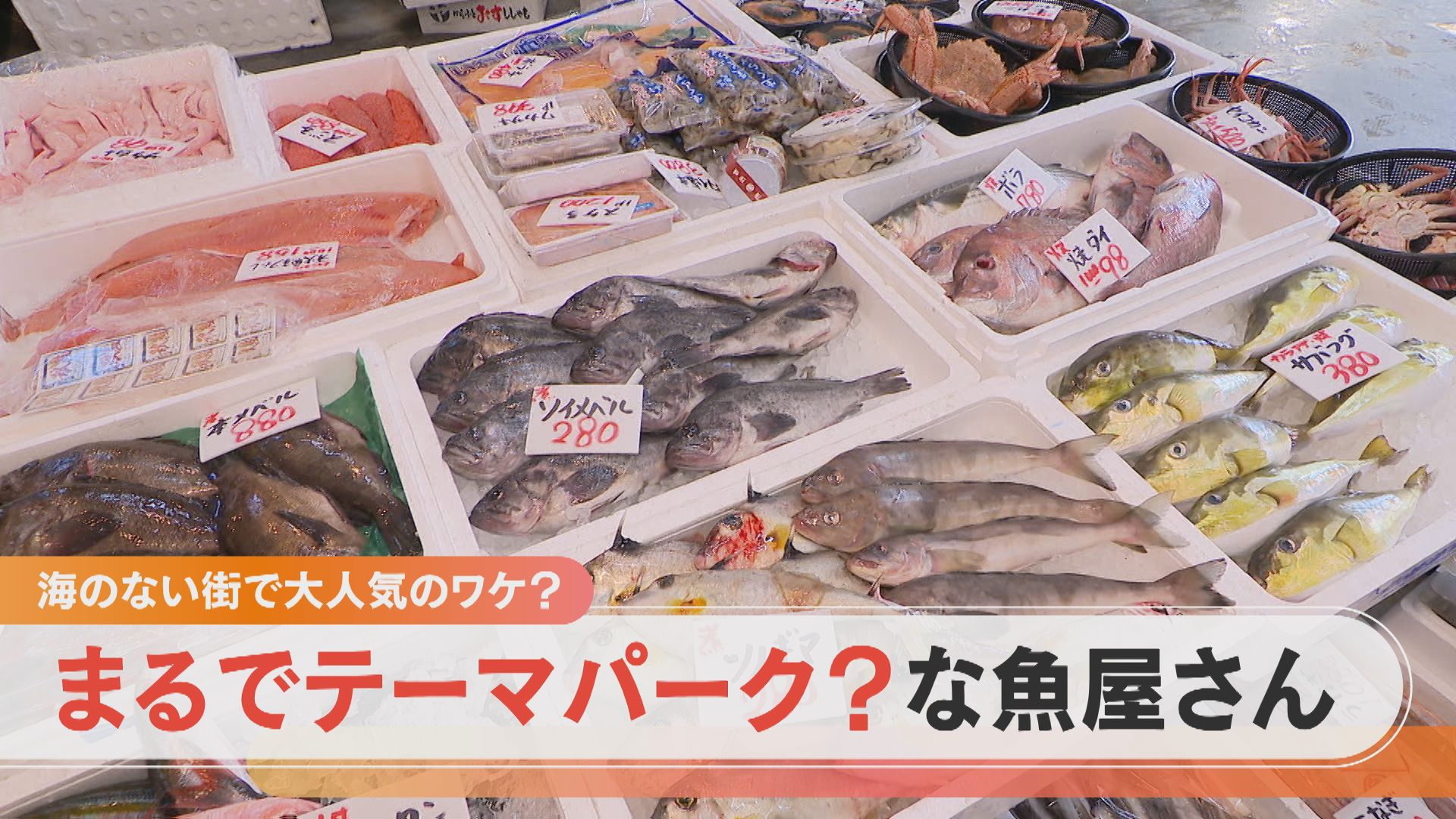 海のない街の“魚のテーマパーク” 子どもも夢中で楽しめる鮮魚店の4つの秘密