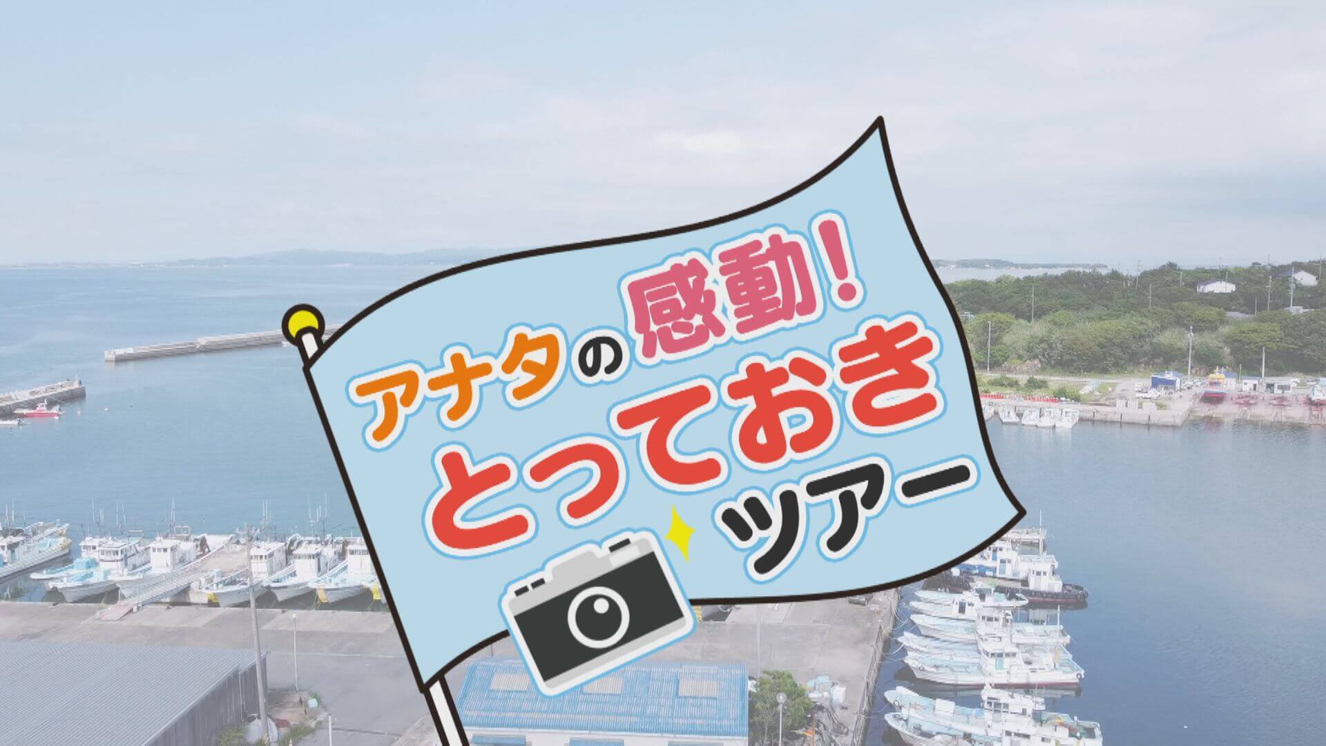 島サウナ&絶品グルメ!日間賀島の地元の人だけが知っている、とっておきの穴場とは