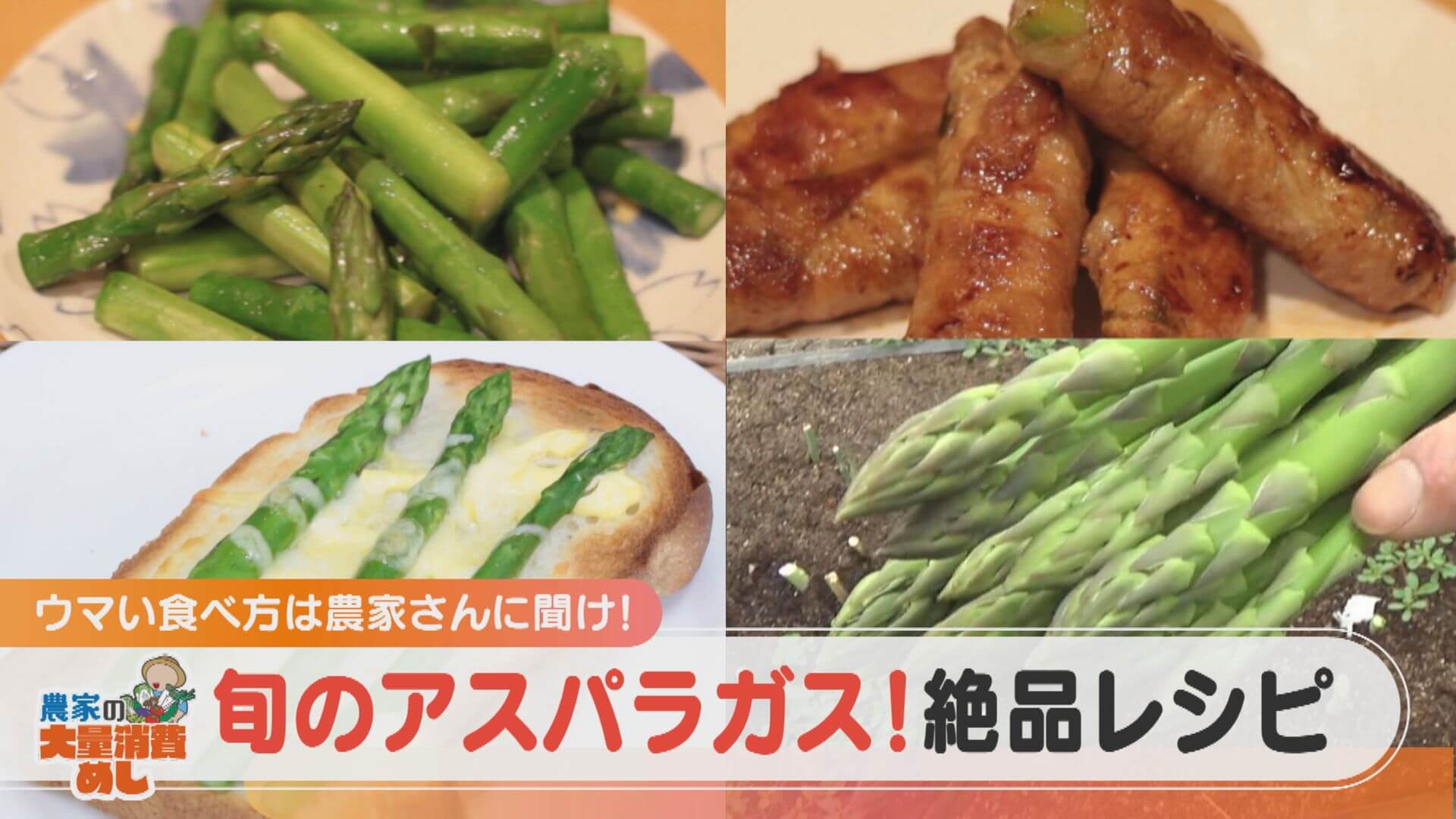 1日10本は食べられる!?大量消費できるおすすめの食べ方をアスパラガス農家に聞いてみた!