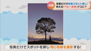 名古屋で海外の絶景！？カメラ好きの間で有名な「ペレーの木」を探し出せ！