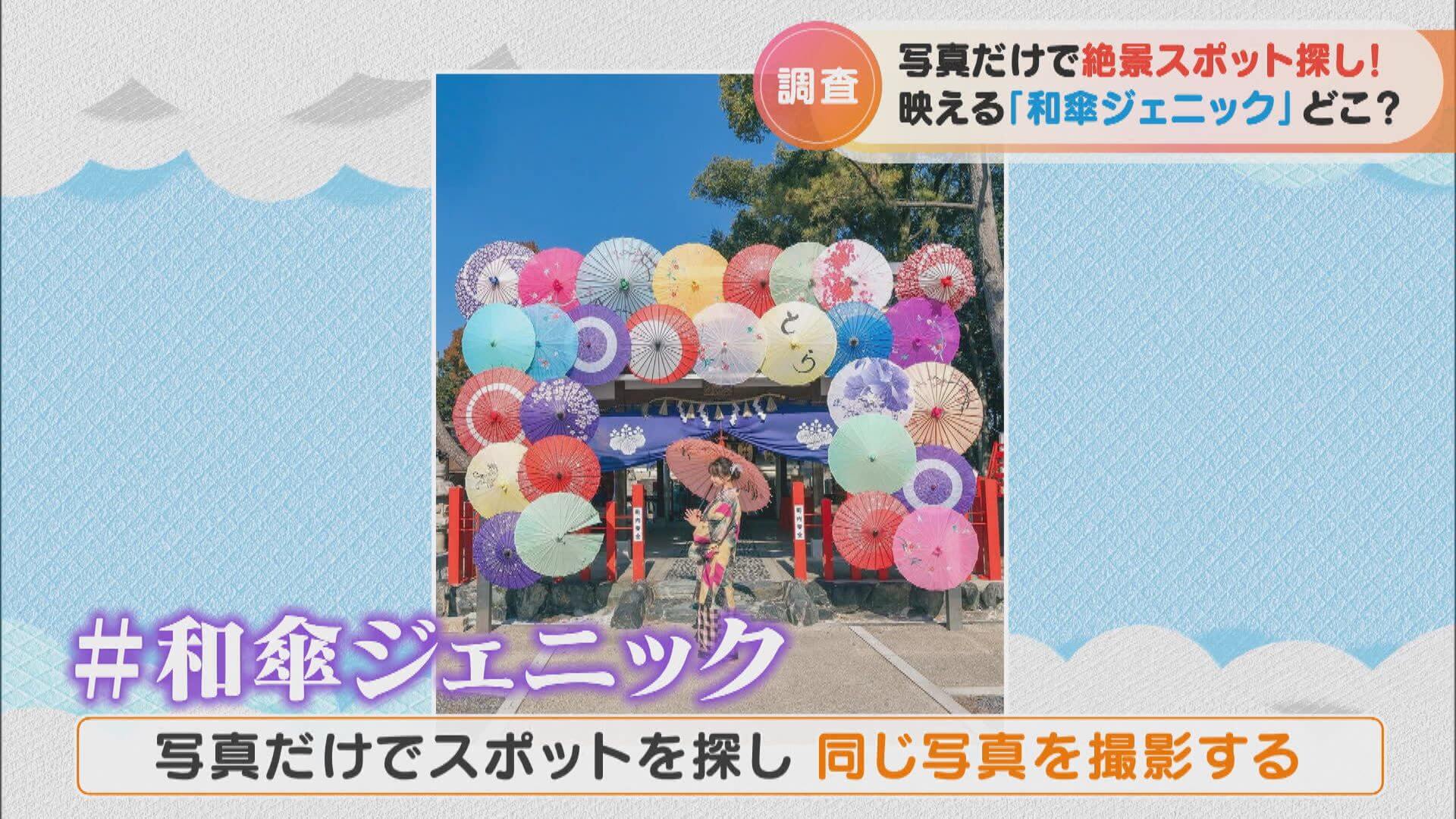 「#和傘ジェニック」な神社を探せ!9時間かけて探し出した超映えスポットとは