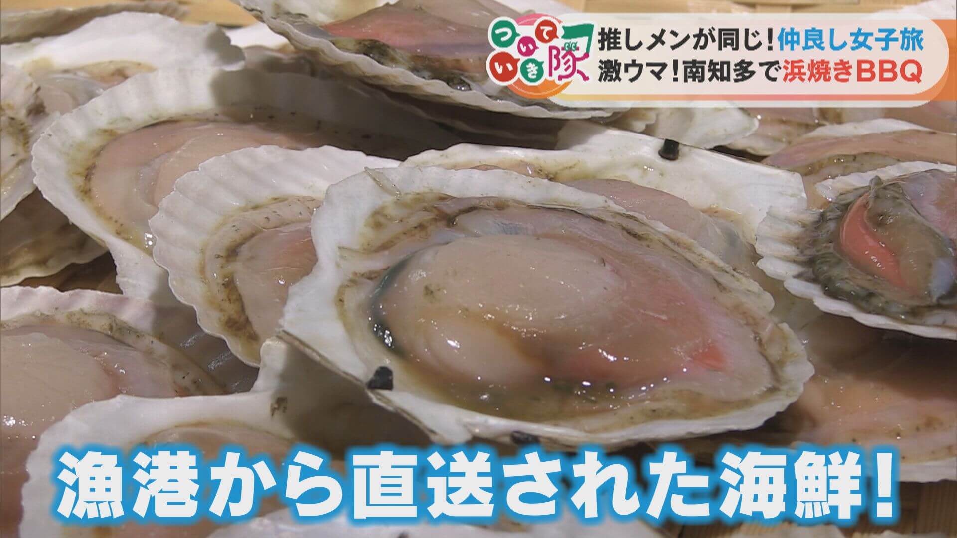 推し活女子3人組に同行!「ずっと行ってみたかった…」贅沢すぎる浜焼きBBQとは?