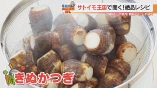 サトイモのレシピは煮物だけじゃない！産地で愛される絶品レシピ「きぬかつぎ」の作り方とは