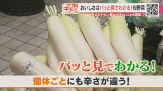 “プロ直伝”おいしい冬野菜の見分け方！ポイントは「根」と「大きさ」と「断面」にあり！