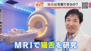 猫舌は克服できる！？専門家が推奨する「アールタベ～ル法」で驚きの効果が！