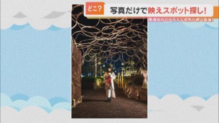 「＃村役場のイルミネーション」がSNSで大バズり！幻想的なスポットをめぐるヒントは東海にある4つの村？