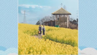 見渡す限りの黄色い絨毯！約8万本の菜の花が咲き誇るインスタ映えスポットとは