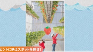 「空飛ぶいちご狩り」 の映え写真スポットはどこ？ 車いすやベビーカーもOKなバリアフリー仕様のいちご狩りスポットとは