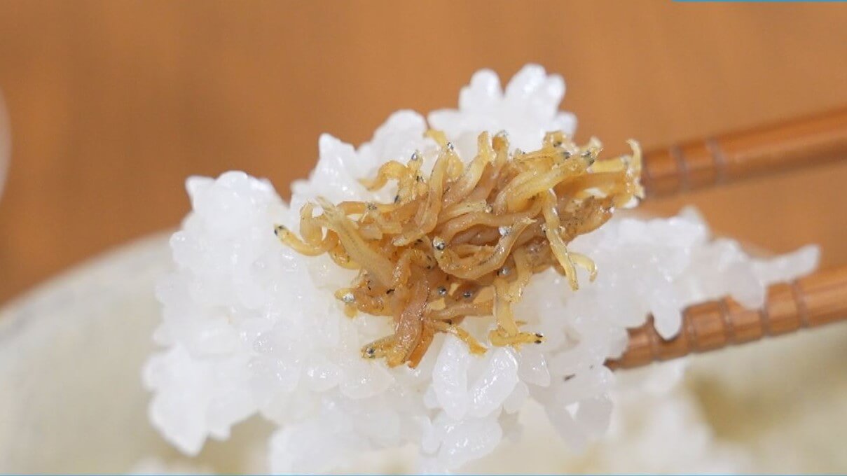 水揚げ量No.1の産地で聞いた! シラスの激うまレシピをご紹介 島民絶賛のソウルフードから最強ごはんのお供まで