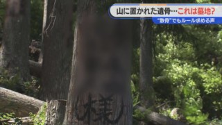 なぜ山にむき出しの遺骨が？許可のない「自然葬」に住民が憤り “森のお墓”の実態に迫る
