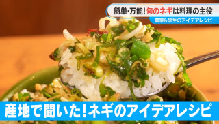 甘みたっぷりでやみつき！チヂミ・ギョーザ・丼ものまで！？ネギが主役の簡単＆ヘルシーレシピ