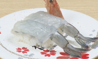 エビのプリンセス！？「にぎりの徳兵衛」の“埋もれメニュー”を調査！甘みとうまみが強い「白姫えび」とは