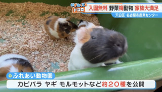 入園無料！？新鮮食材＆ふれあい体験もできる天白区にある「名古屋市農業センターdelaふぁーむ」を徹底調査
