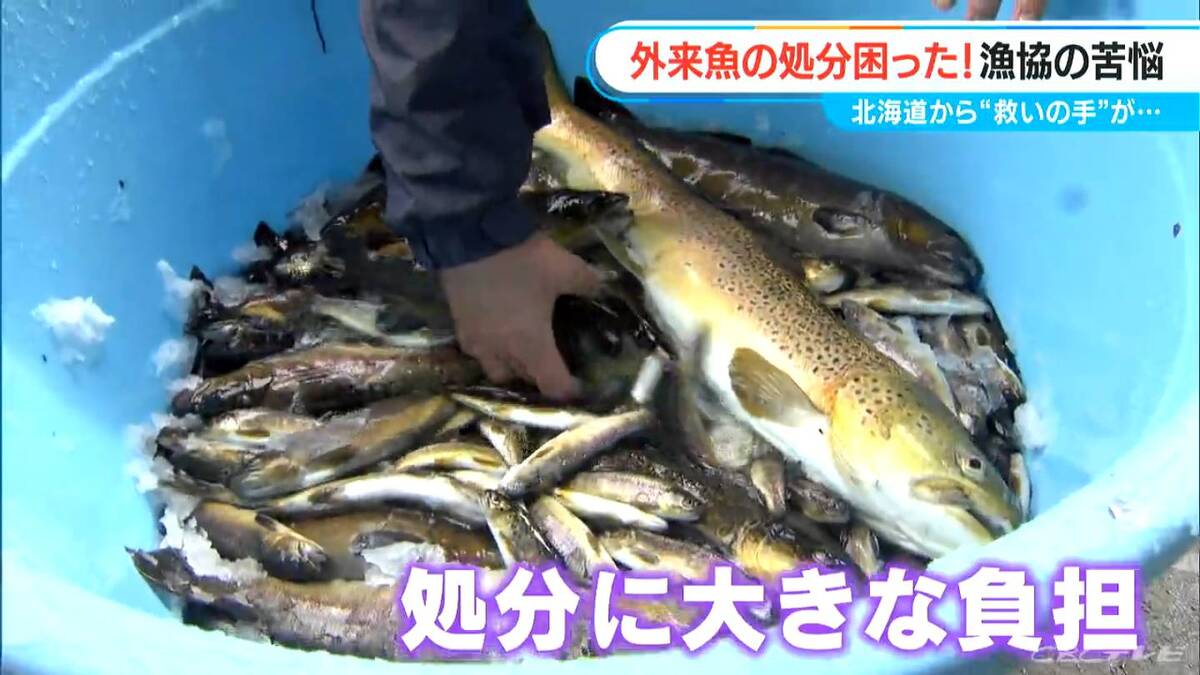 CBCテレビ『チャント！』