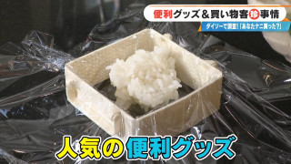 「ダイソー」で発見！冷凍ご飯収納やレンジ調理器など便利グッズからおしゃれアイテムまで、最新ショッピング事情を徹底調査