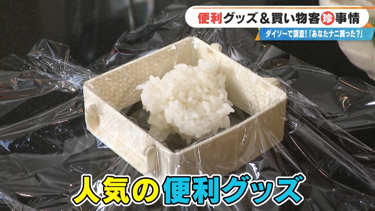 「ダイソー」で発見!冷凍ご飯収納やレンジ調理器など便利グッズからおしゃれアイテムまで、最新ショッピング事情を徹底調査
