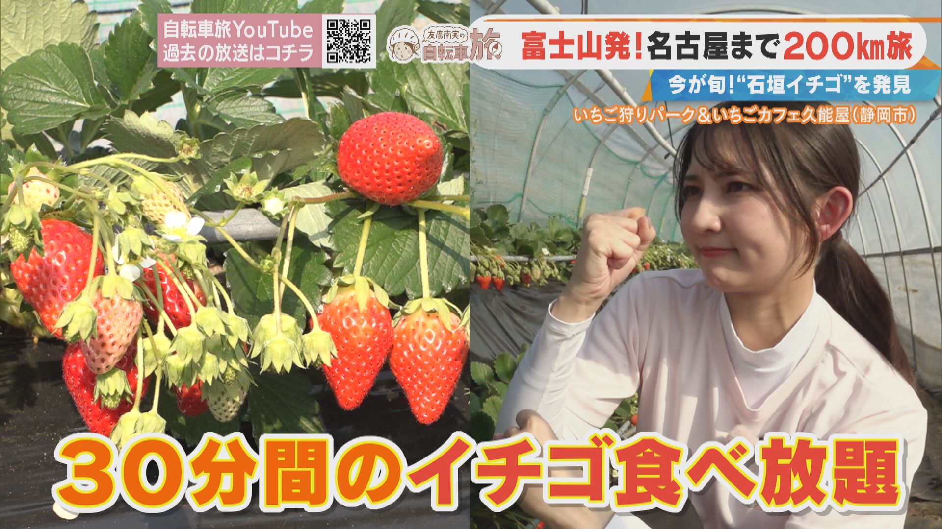「静岡市から200km走ります！」過去最長の自転車旅がスタート！CBC友廣アナが“石垣イチゴ”を食べまくる